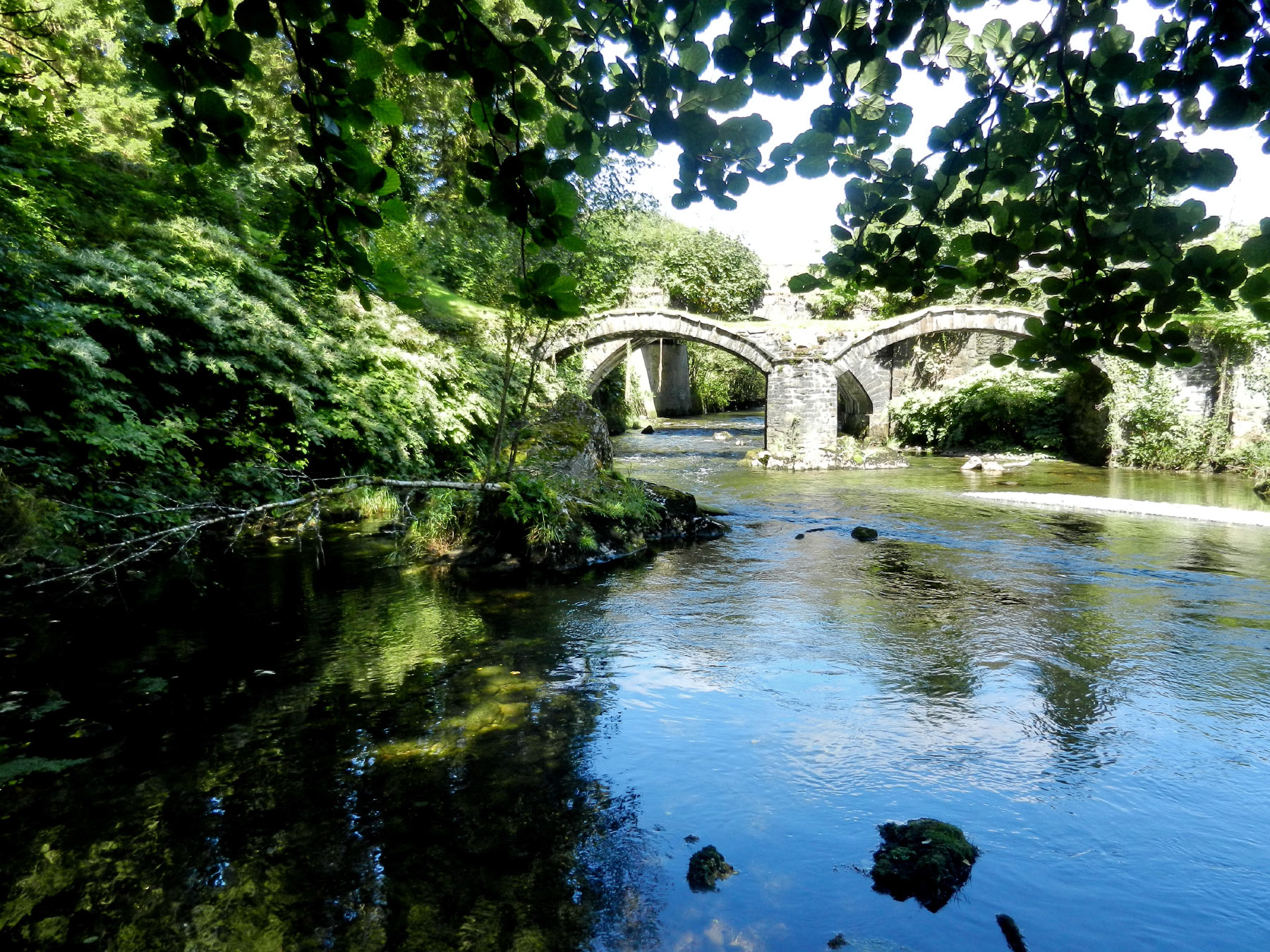 Meirion Mill